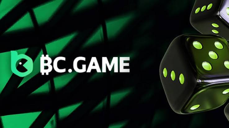 Understanding BC.Game KYC and AML Verification 813070614
