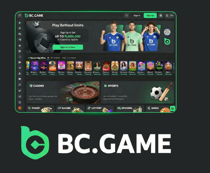 Udenlandske Online Casinoer Uden ROFUS Spil Uden Bekymringer